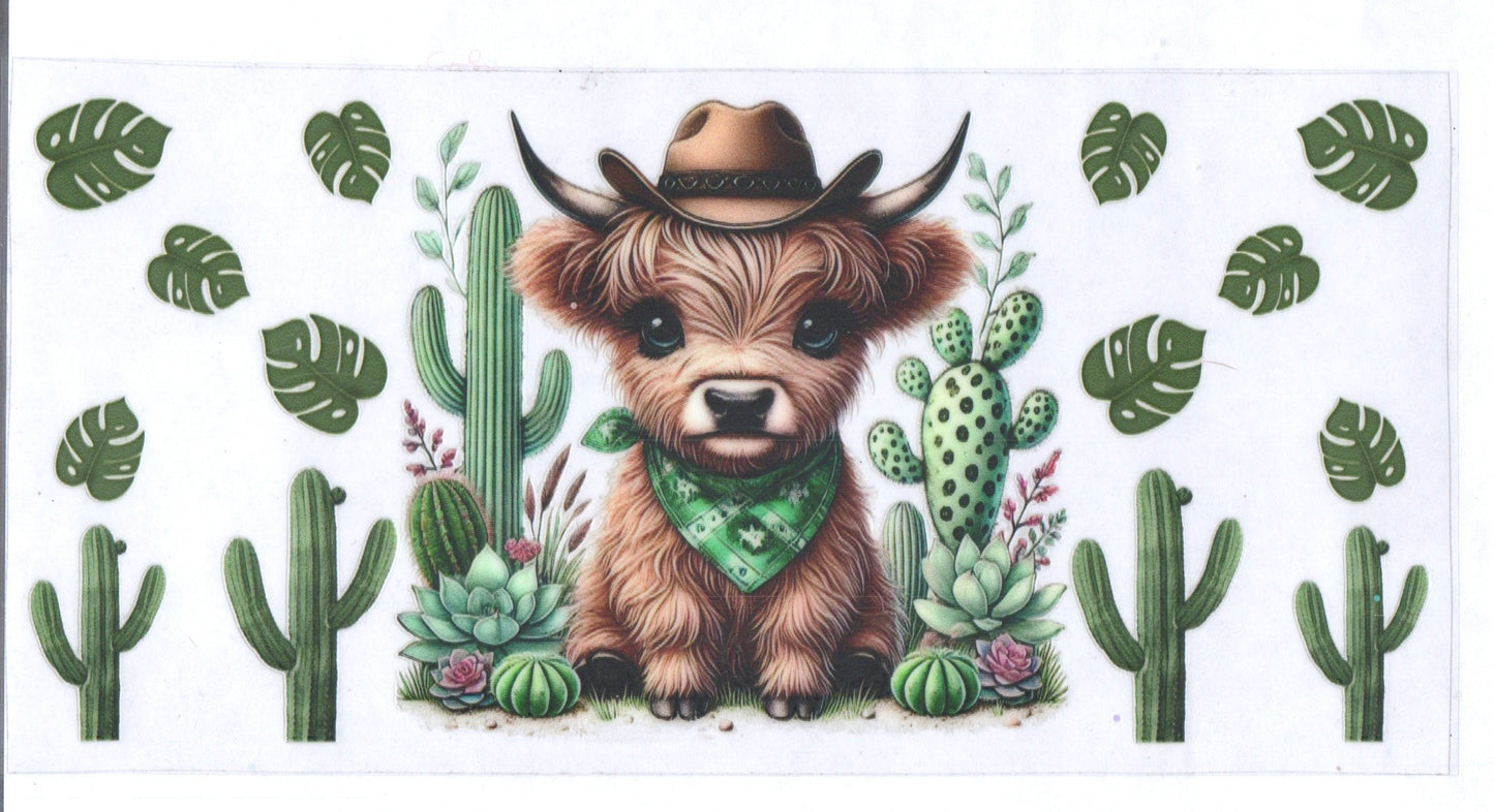 Catus Cow