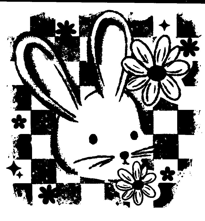 Checkered Bunny