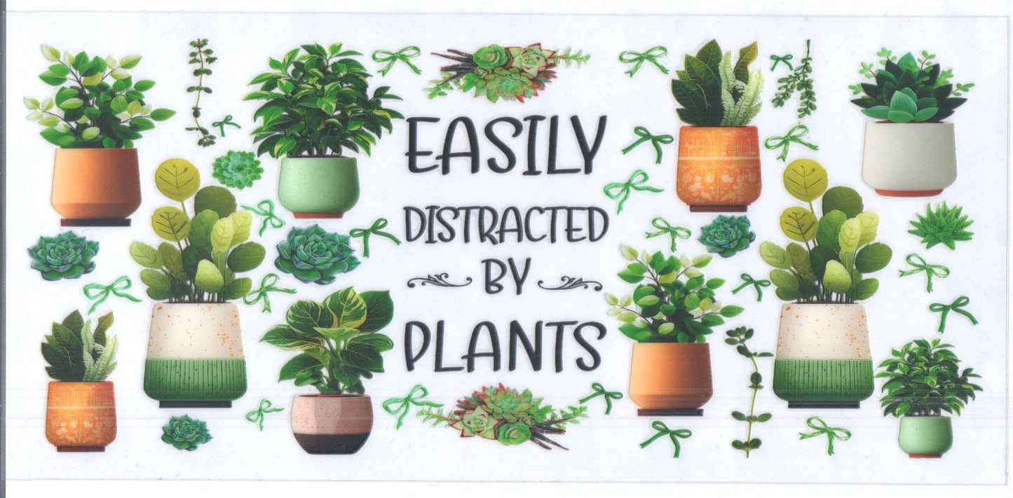 Easily distracted Flowers
