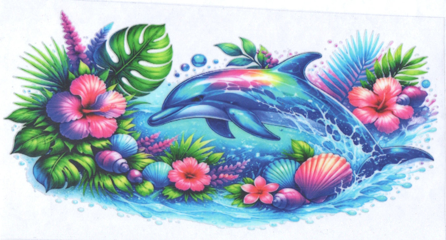 Dolphin