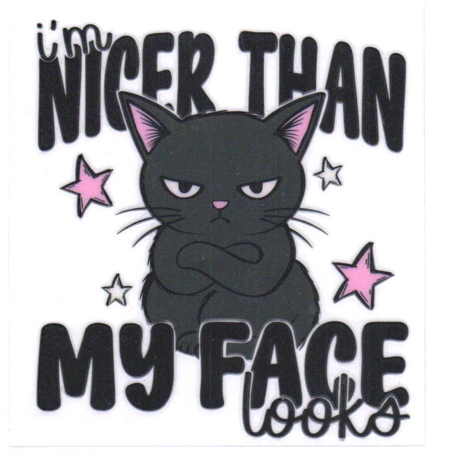 I'M NICER THAN MY FACE LOOKS DECAL