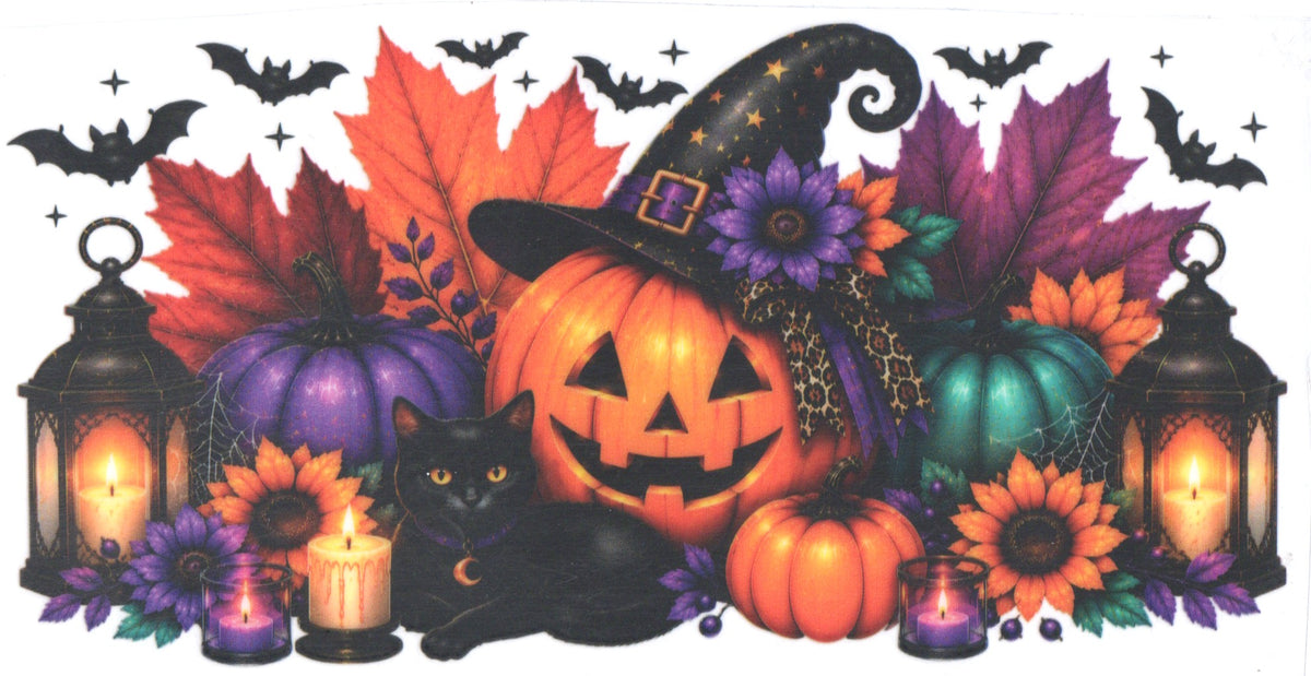 black cat and pumpkin