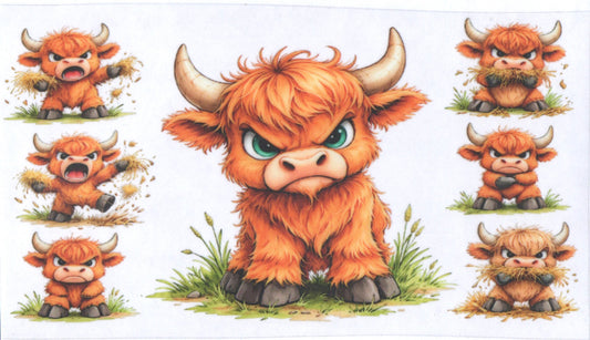 Angry cow