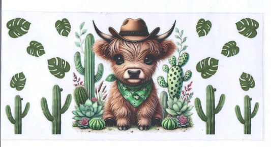Catus Cow