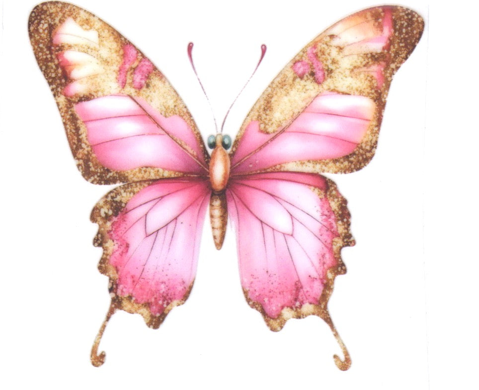 Pink and Gold Decal