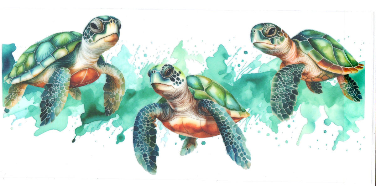 Turtles Large