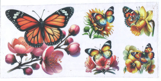 Butterfies