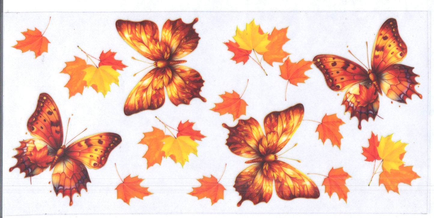 Fall Butterfies