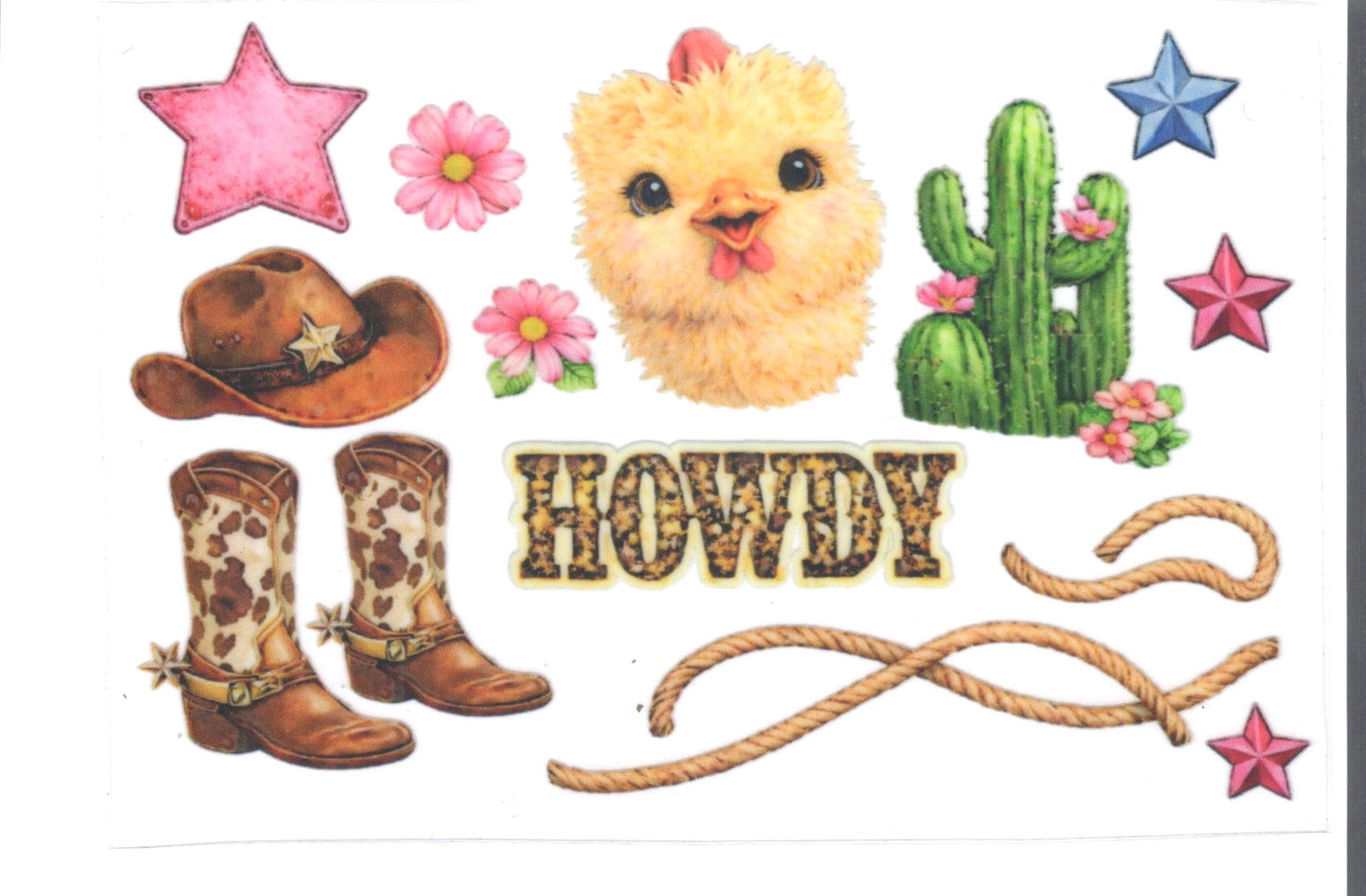 Howdy chick Decal