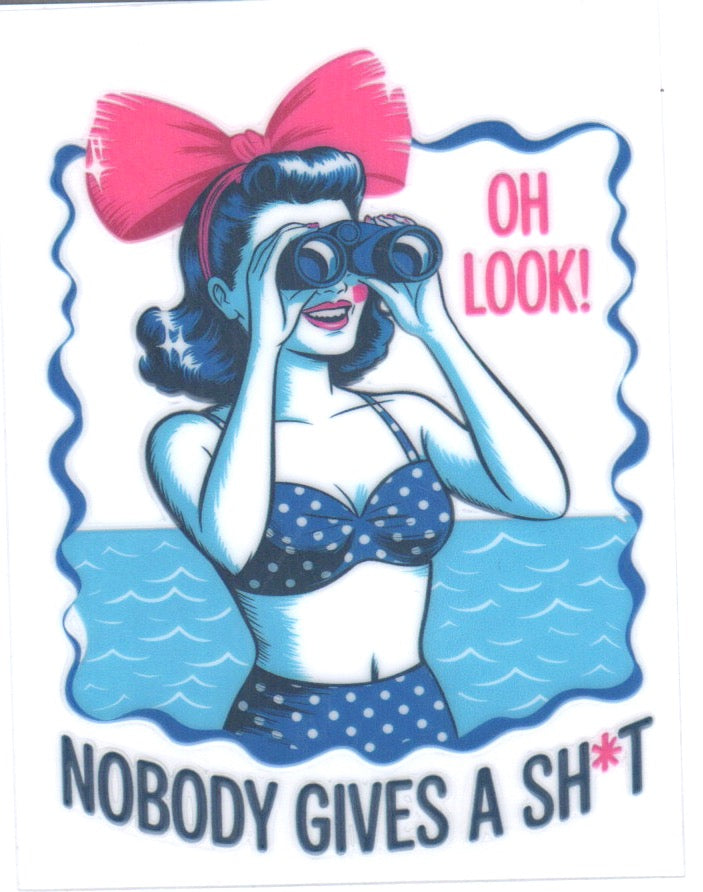 Nobody gives a s_ Decal