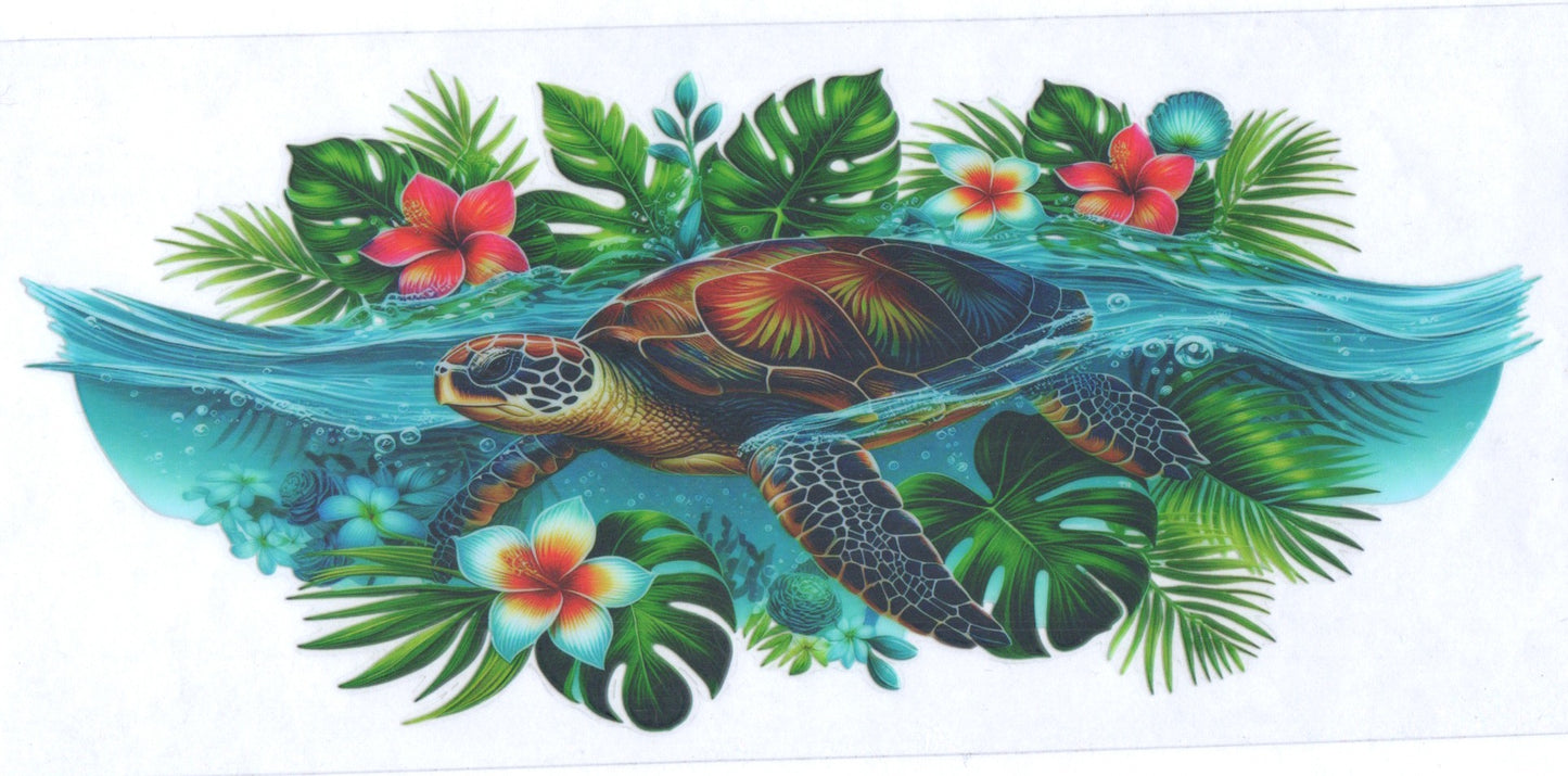 turtle