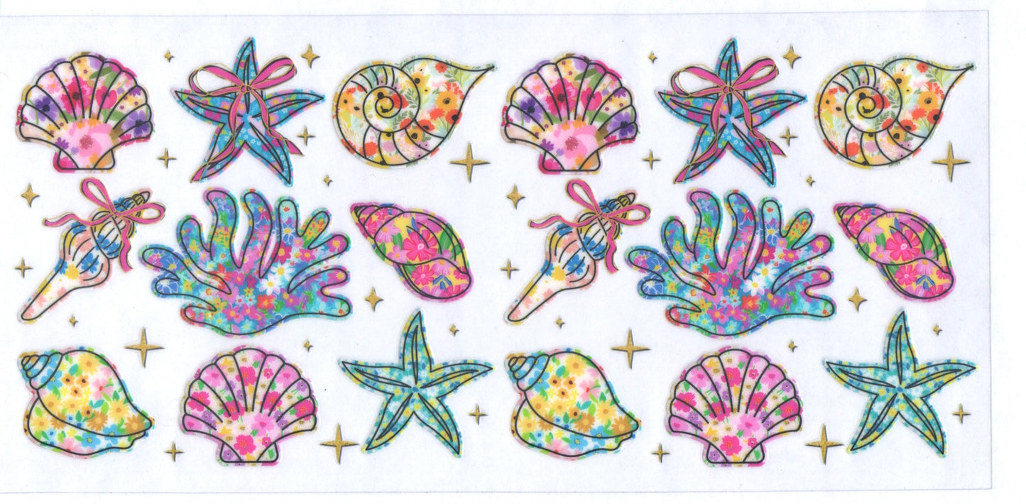 Shells and Stars