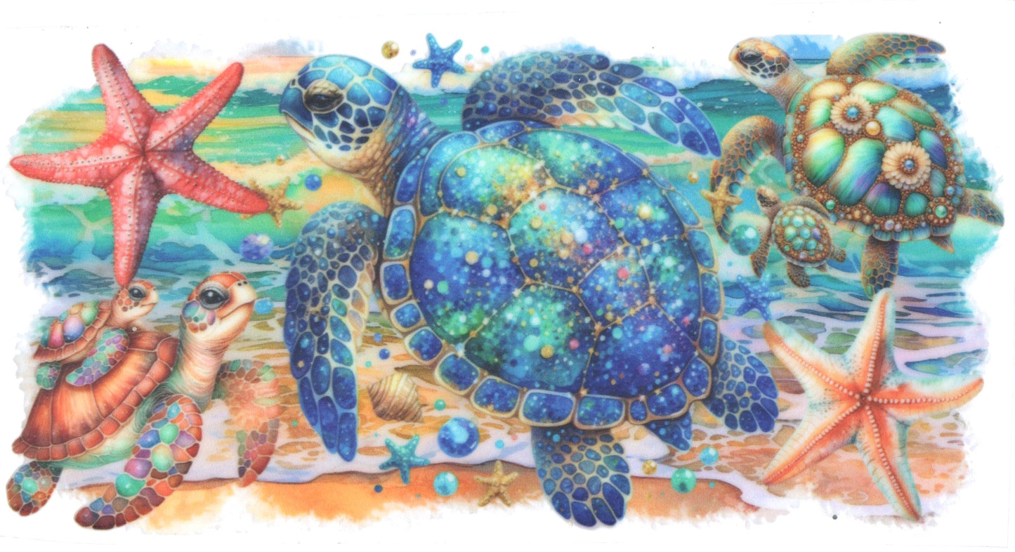 TURTLES AND STAR FISH
