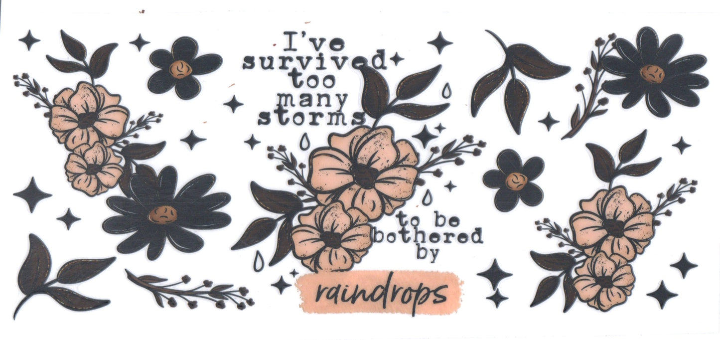 IVE SURVUVED TOO MANY STORMS