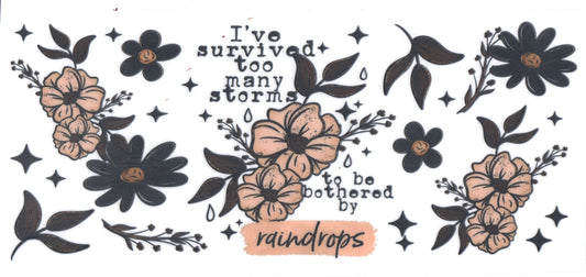 IVE SURVUVED TOO MANY STORMS