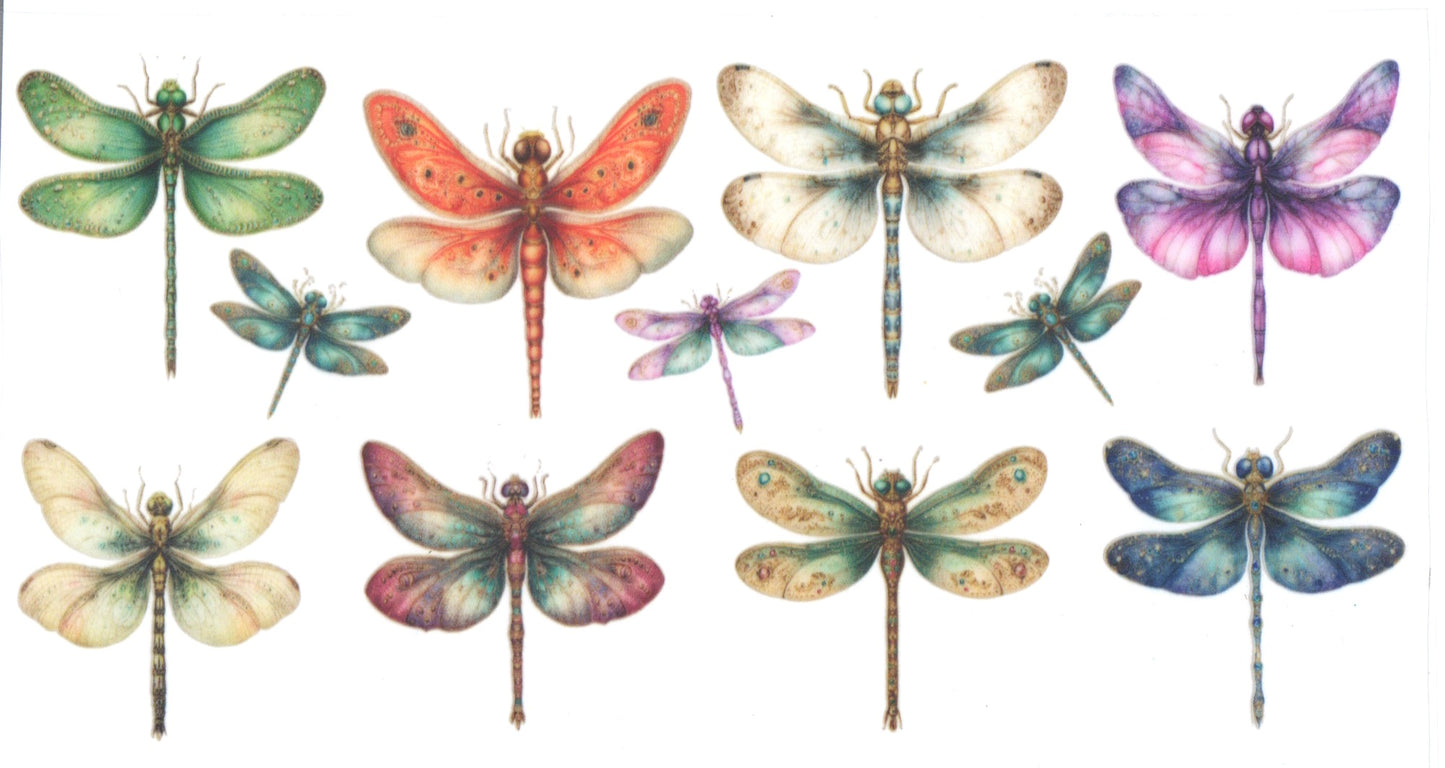 DRAGENFLIES