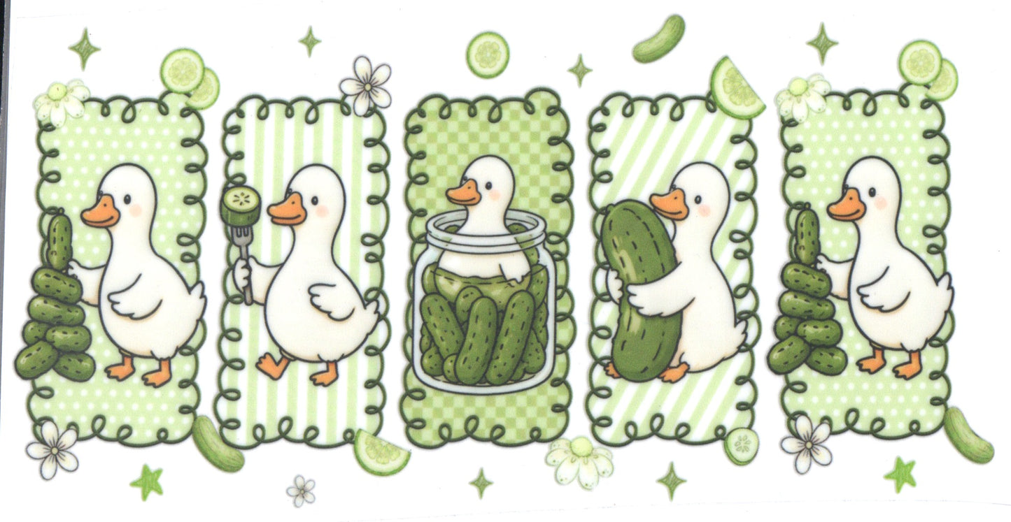 PICKEL DUCKS