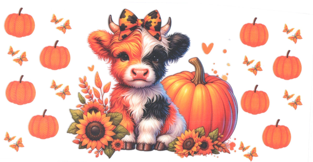 HEIFER AND PUMPKIN