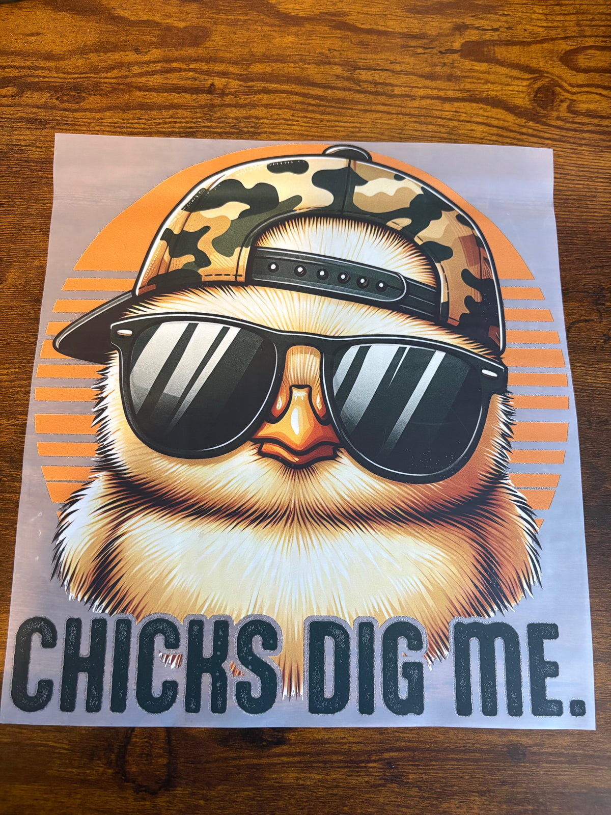 DTF CHICKS DIG ME